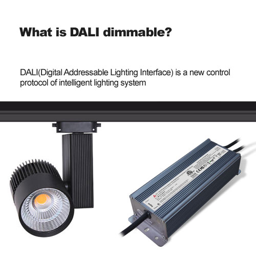 What is DALI dimmable?