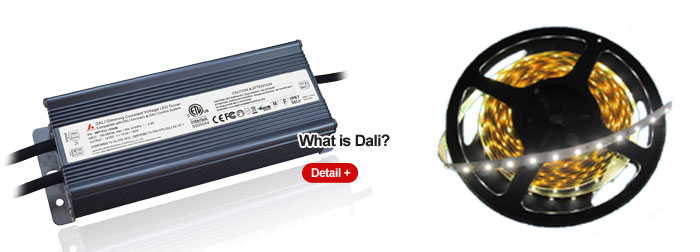 dali 12v led driver