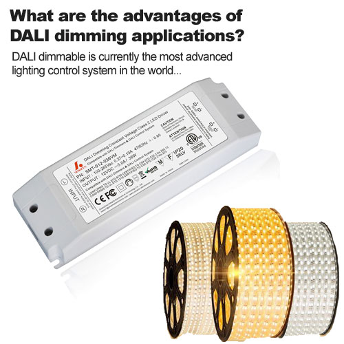What are the advantages of DALI dimming applications?