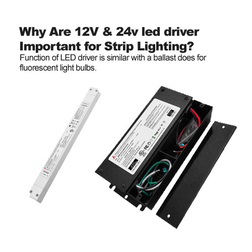 Why Are 12V & 24v led driver Important for Strip Lighting?