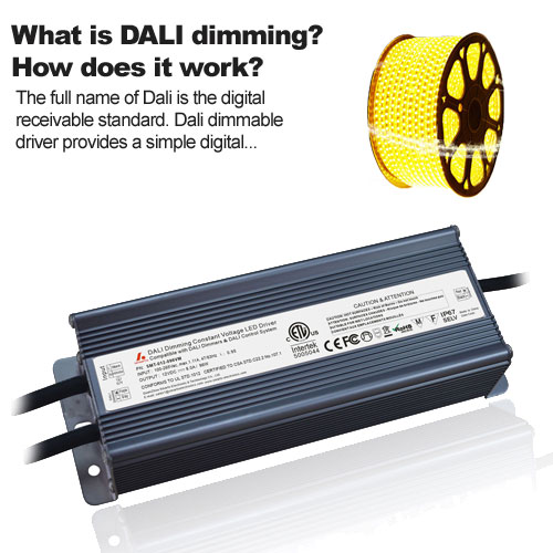 What is DALI dimming? How does it work?