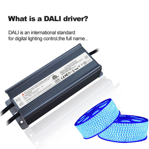 What is a DALI driver?