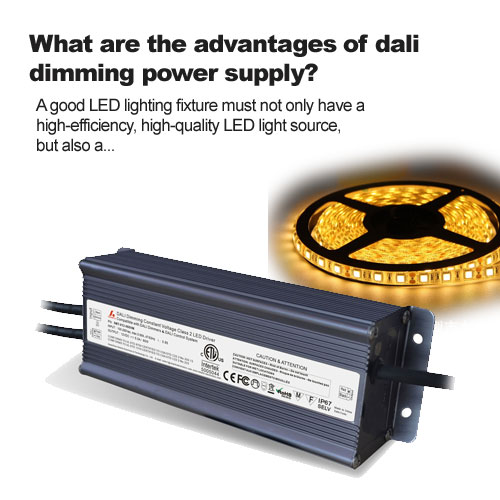 What are the advantages of dali dimming power supply?