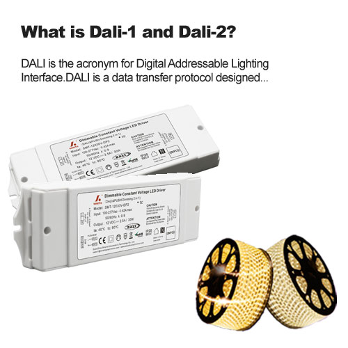 What is Dali-1 and Dali-2?